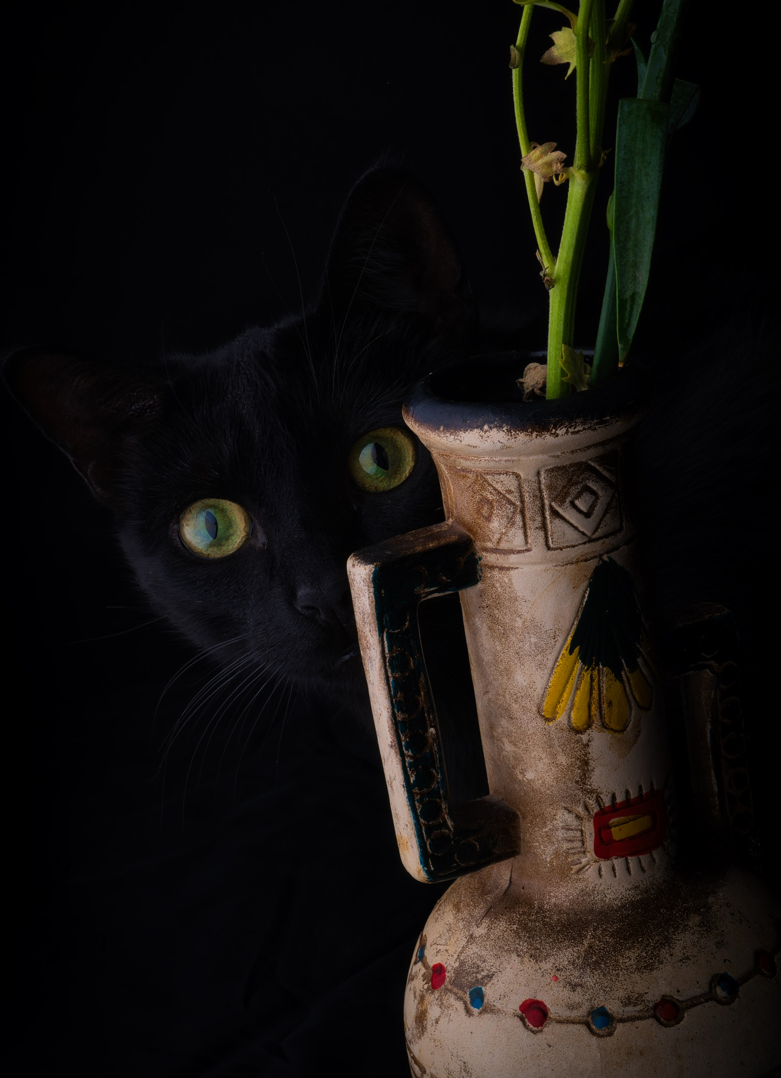 20240213 0086 D850 SES Flowers